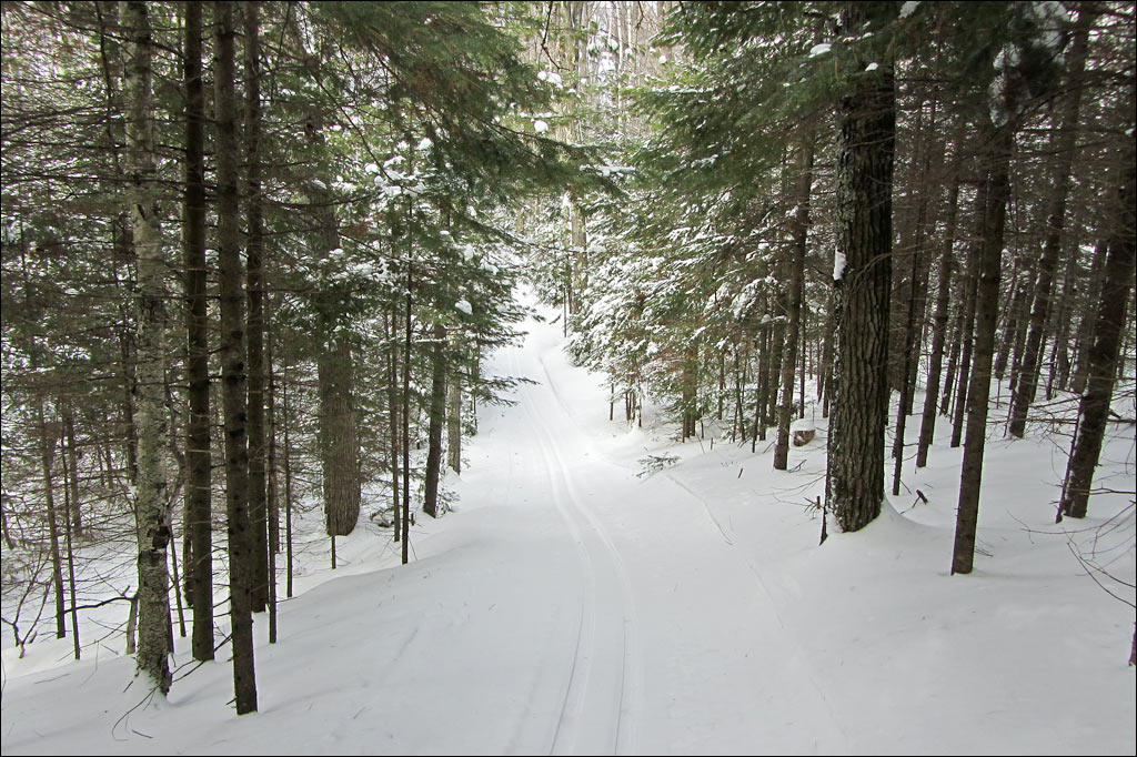 Escanaba Lake Ski Trail Image